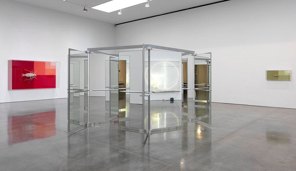 Carsten Höller, Reason at Gagosian, photo 3