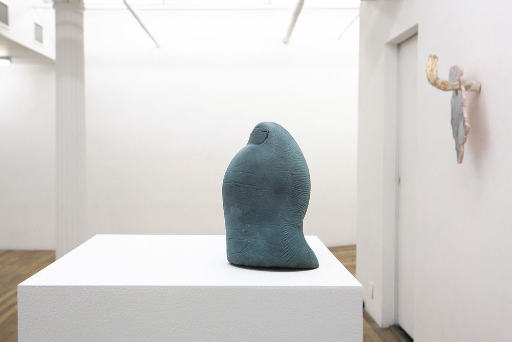 Rachel de Joode, Soft Inquiry at Kansas Gallery, photo 4