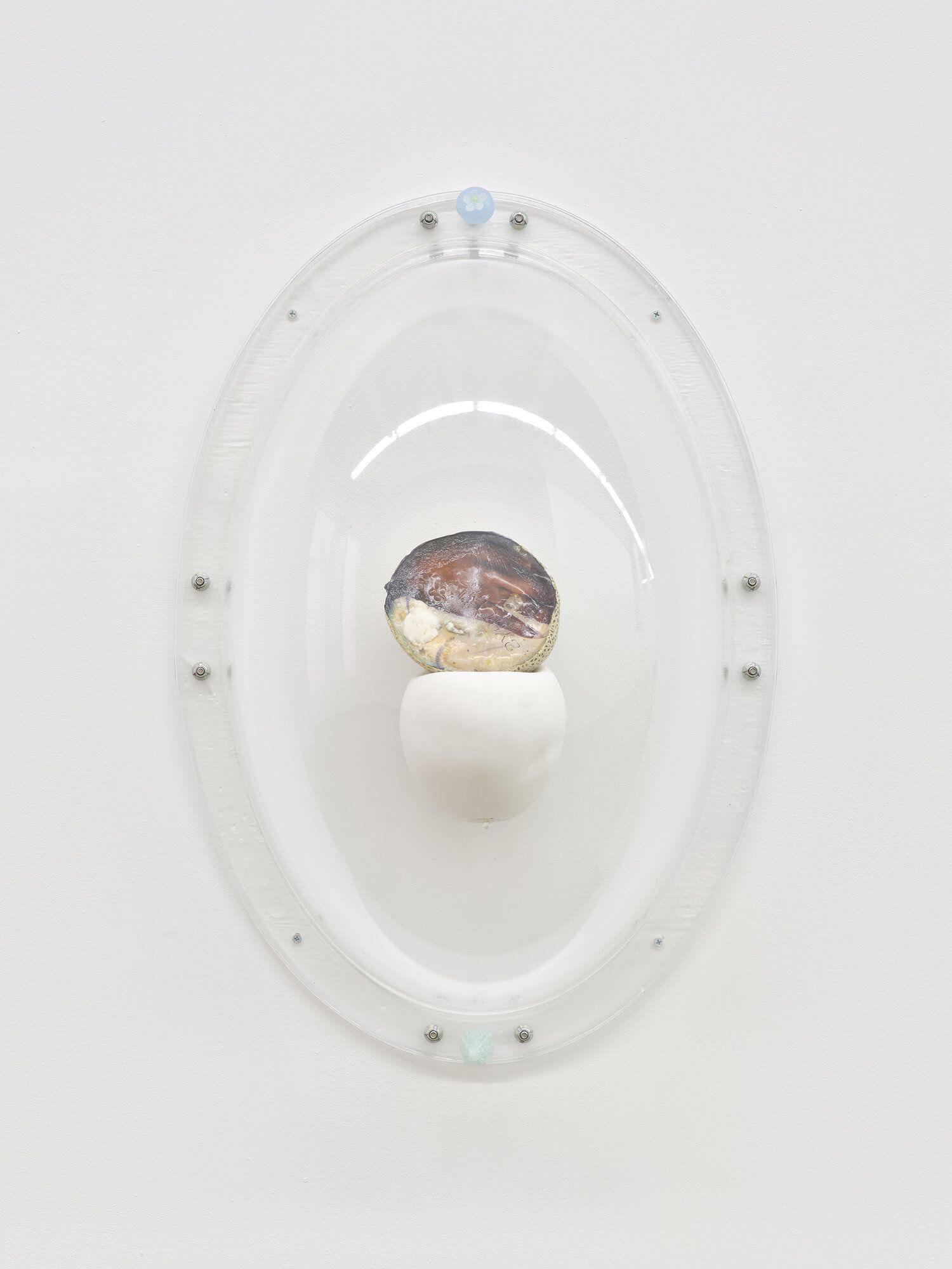 Karinne Smith, Melon Skin at M 2 3, photo 5
