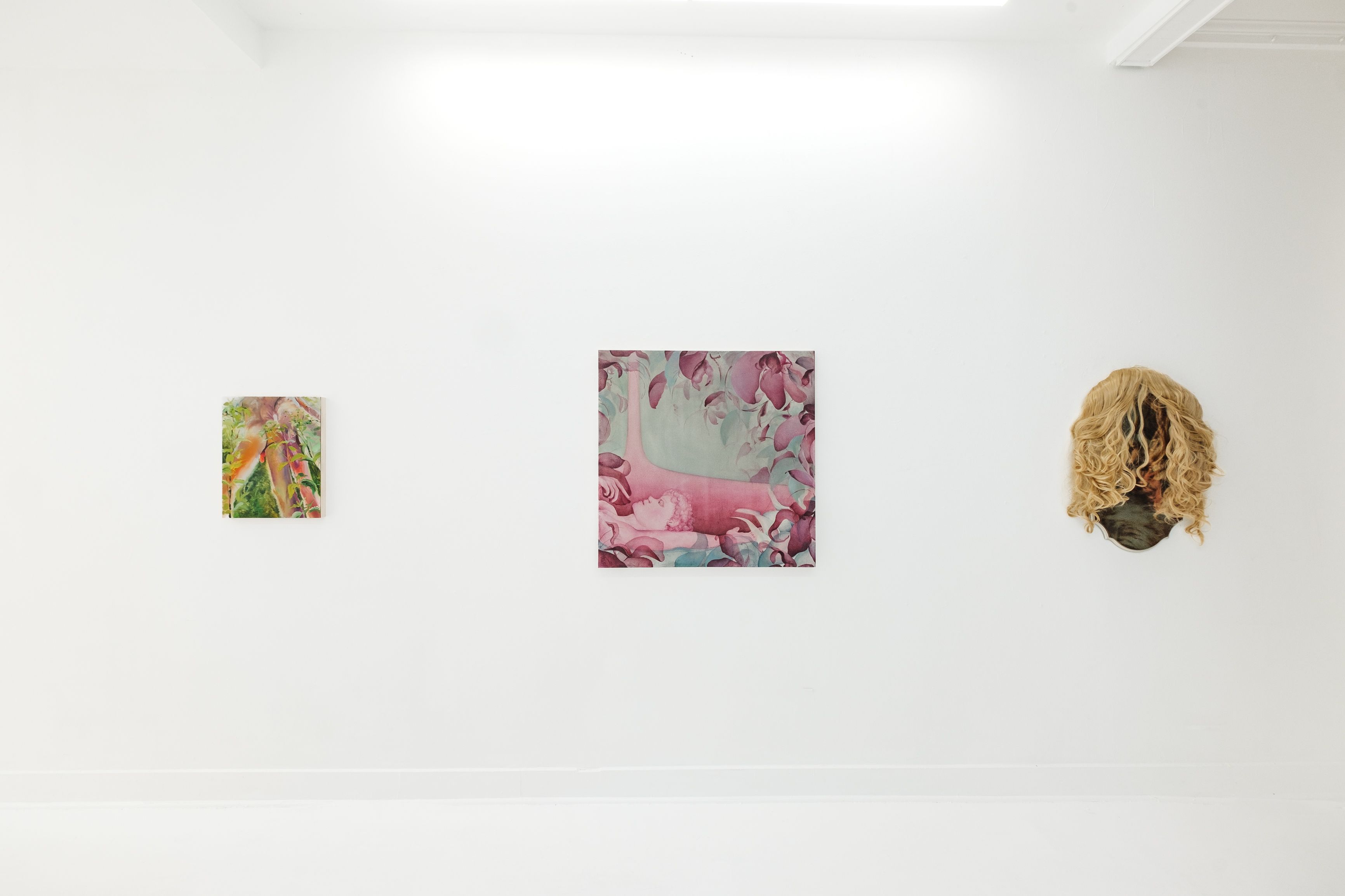 Flora and Flesh, Flora and Flesh at Lauren Powell Projects, photo 9