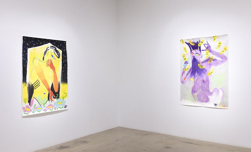 Nicanor Aráoz, Don't Acid Me at Steve Turner, photo 2