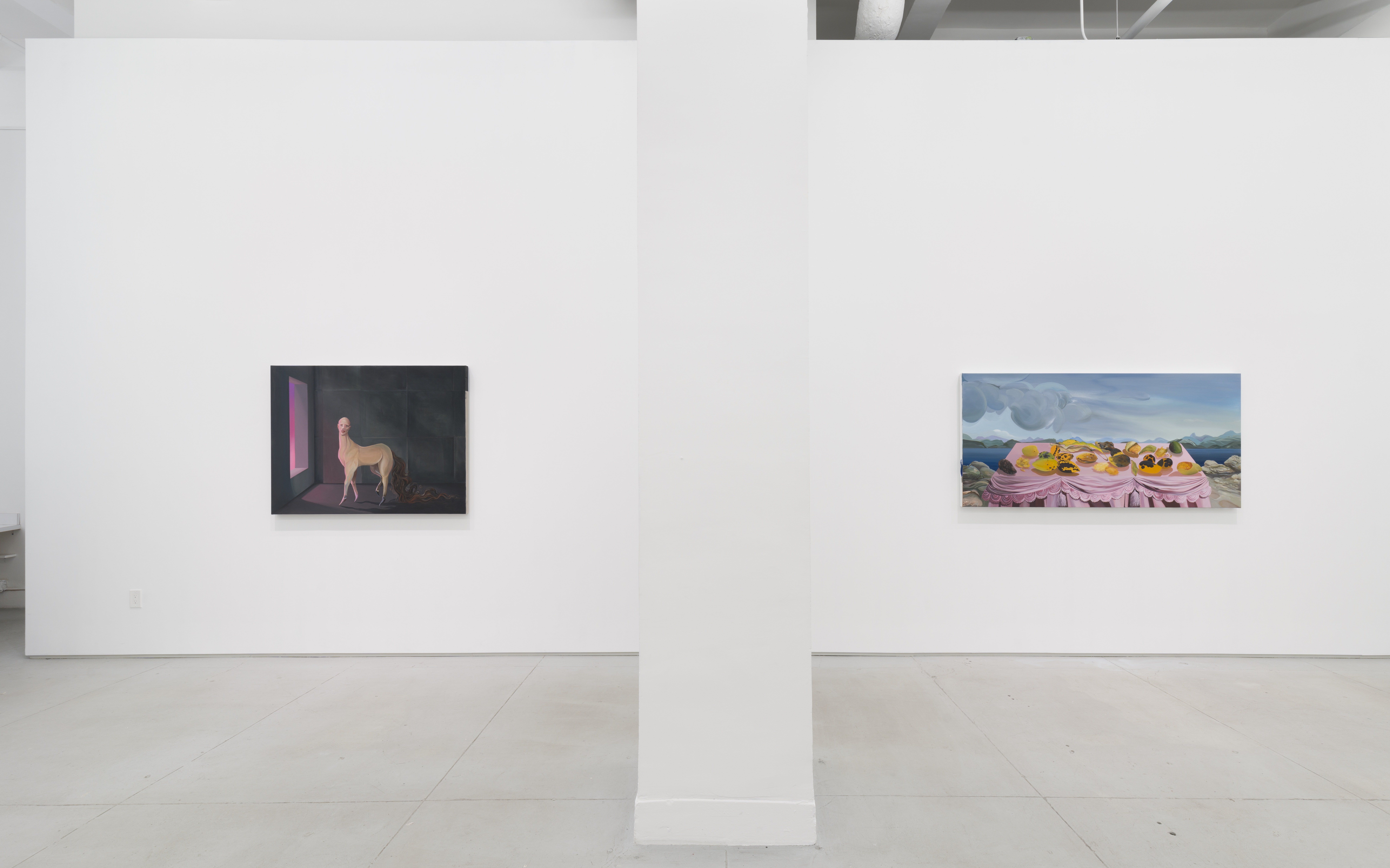 Installation view 4