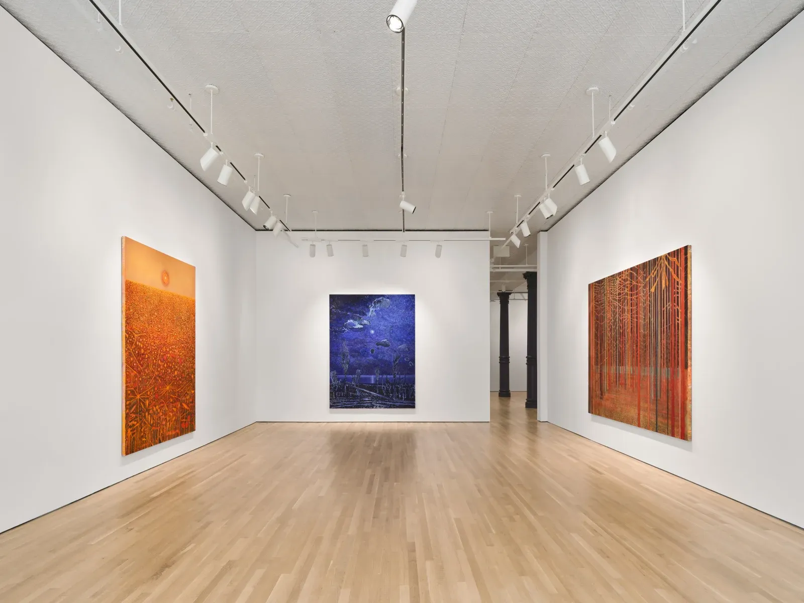 Sky Glabush, The Letters of This Alphabet Were Trees at Stephen Friedman, photo 8