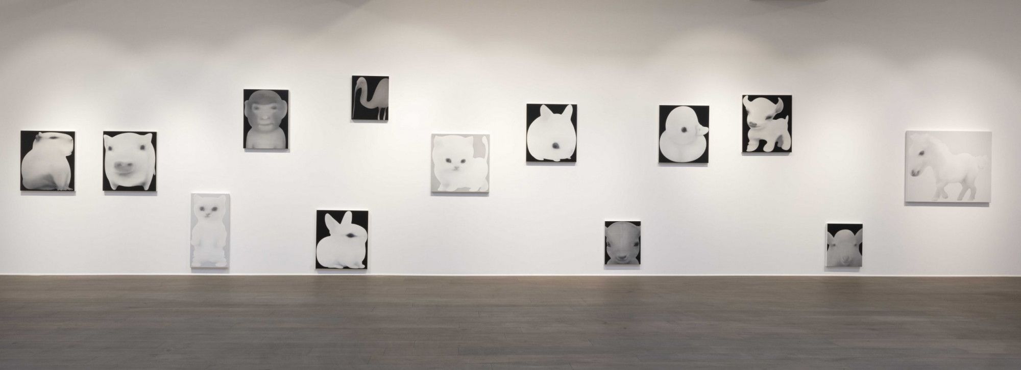 Jingze Du, True Colors at Steve Turner, photo 6