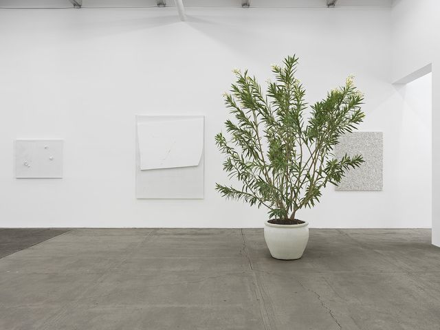 Thilo Heinzmann, Thilo Heinzmann at Bortolami, photo 5