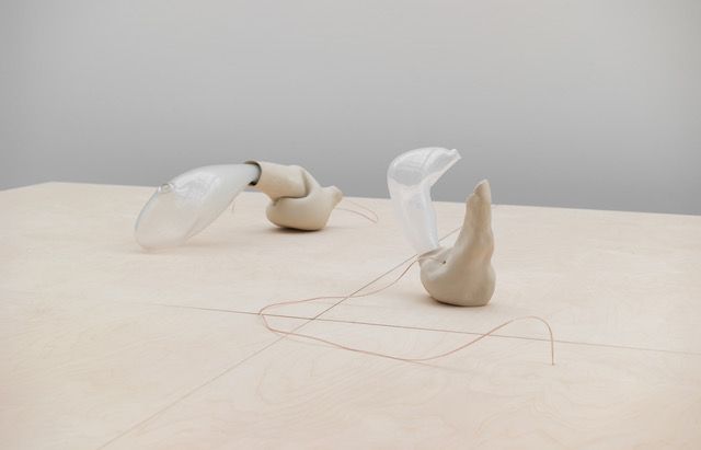 Julianne Swartz, image 3 of 3