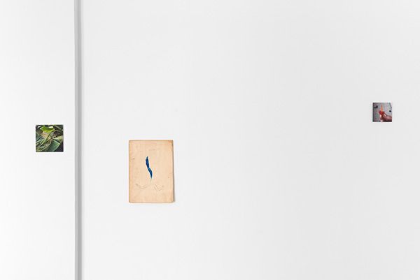 Dani Soter, Dani Soter at Maëlle Galerie, photo 5