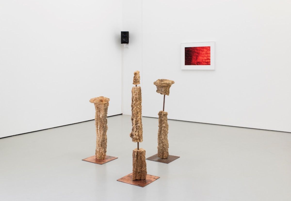 Ella Littwitz, Ontology of the Void at Alexander Levy, photo 2