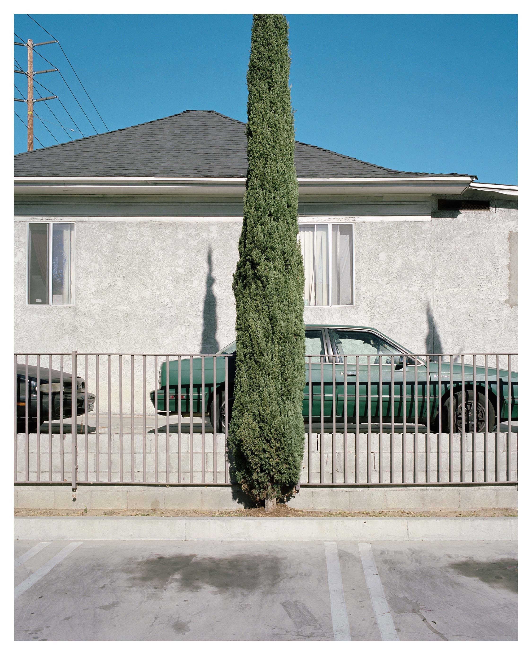 George Byrne, New Order at Olsen Gruin, photo 4