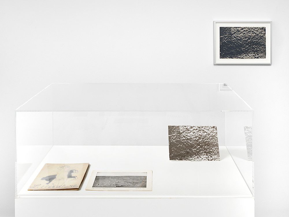 Isa Genzken, Basic Research at Buchholz, photo 16