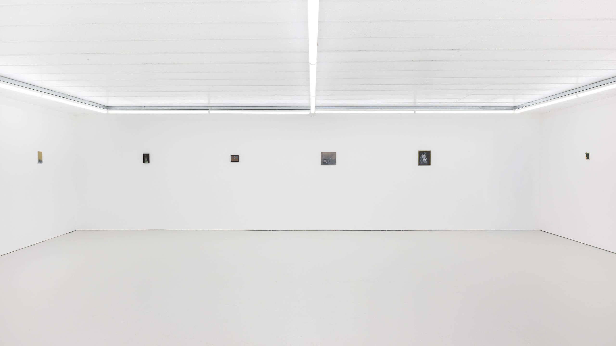 Norman Hyams, No Rush at Hannah Barry, photo 20