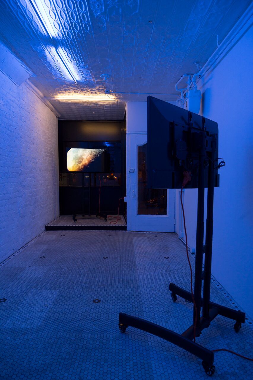 Adelita Husni-Bey, image 4 of 9