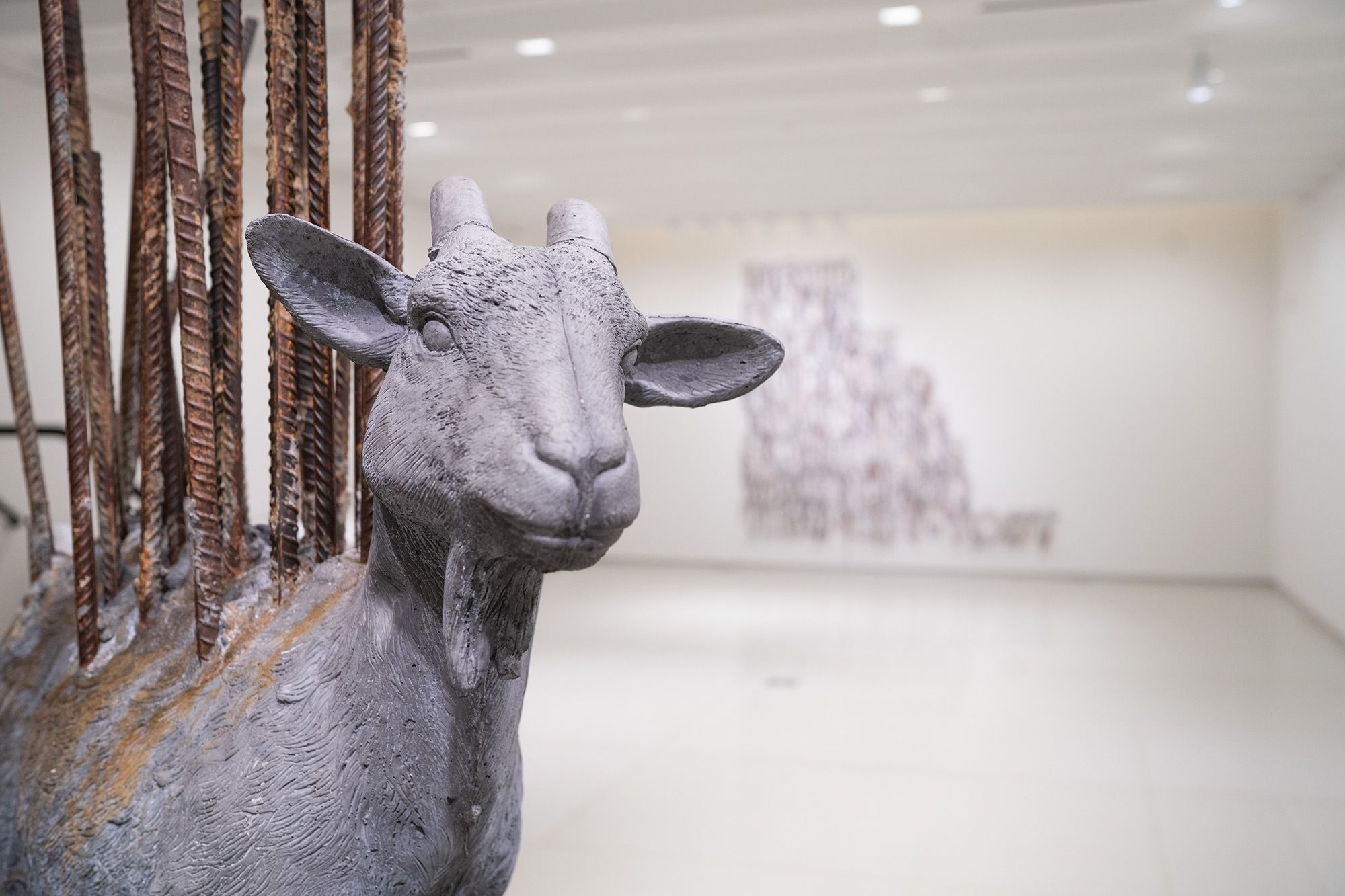 Nari Ward, Home of the Brave at Vilcek Foundation, photo 2