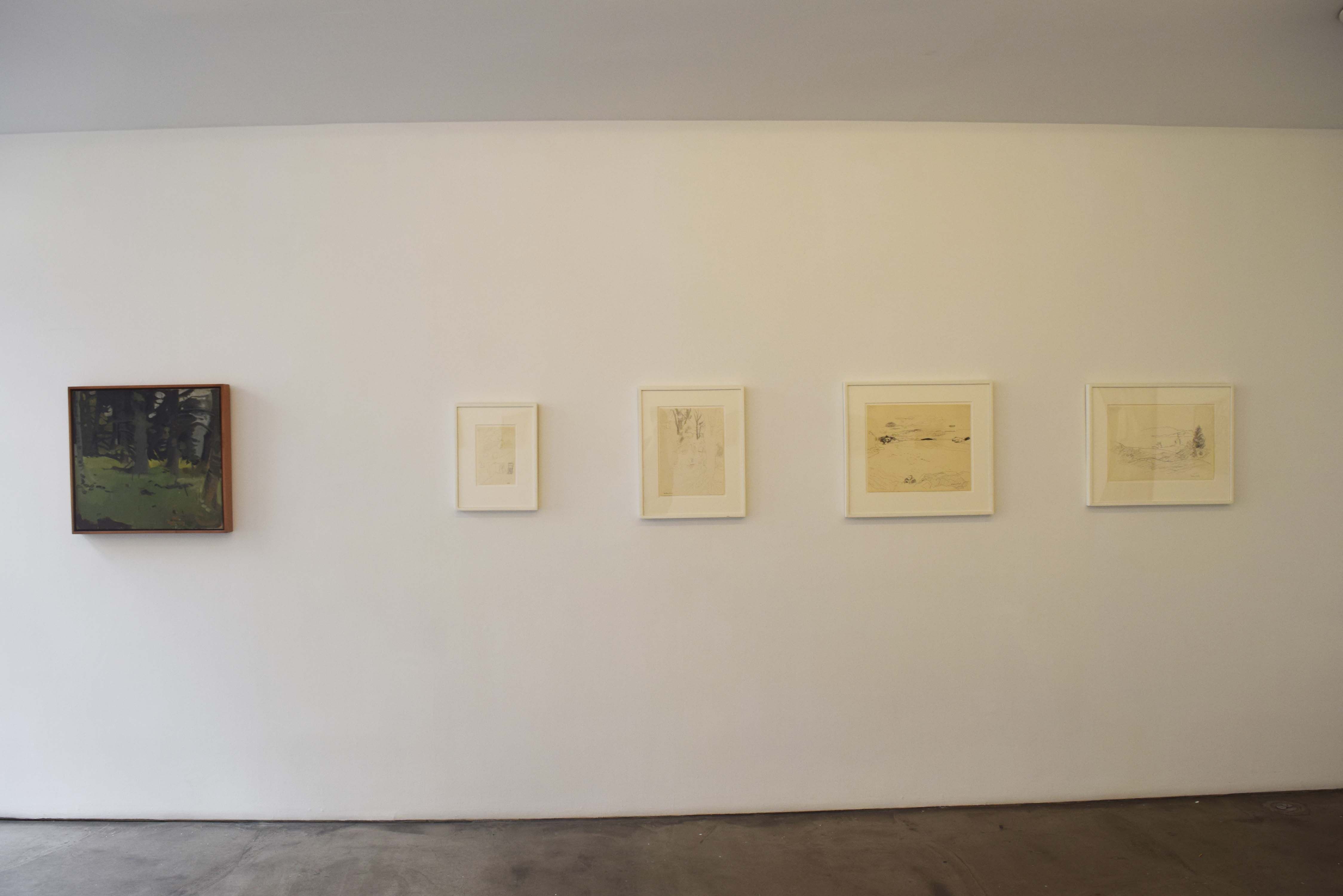 Fairfield Porter, Amherst and Other Places at Betty Cuningham, photo 4