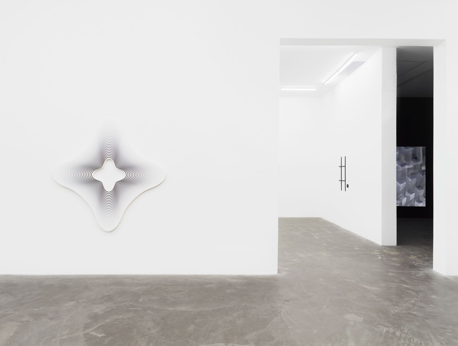Philippe Decrauzat, Double Exposure at Praz-Delavallade, photo 3