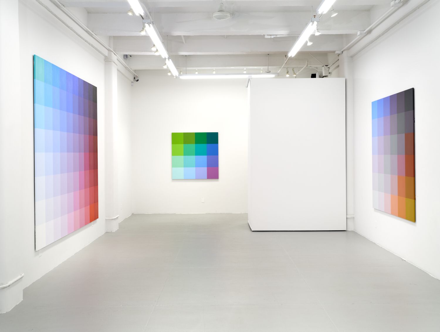 Robert Swain, The Perception of Color at David Richard Gallery, photo 8