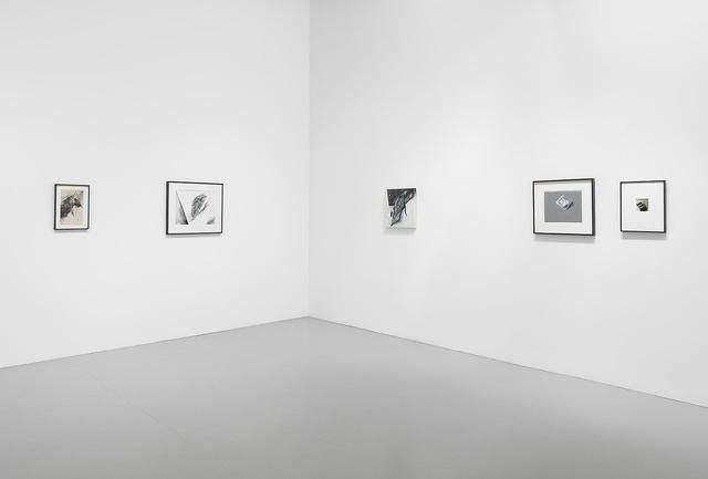 Jay DeFeo, Jay DeFeo at Mitchell-Innes & Nash, photo 6