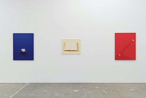 Sarah Charlesworth, Neverland at Karma, photo 8