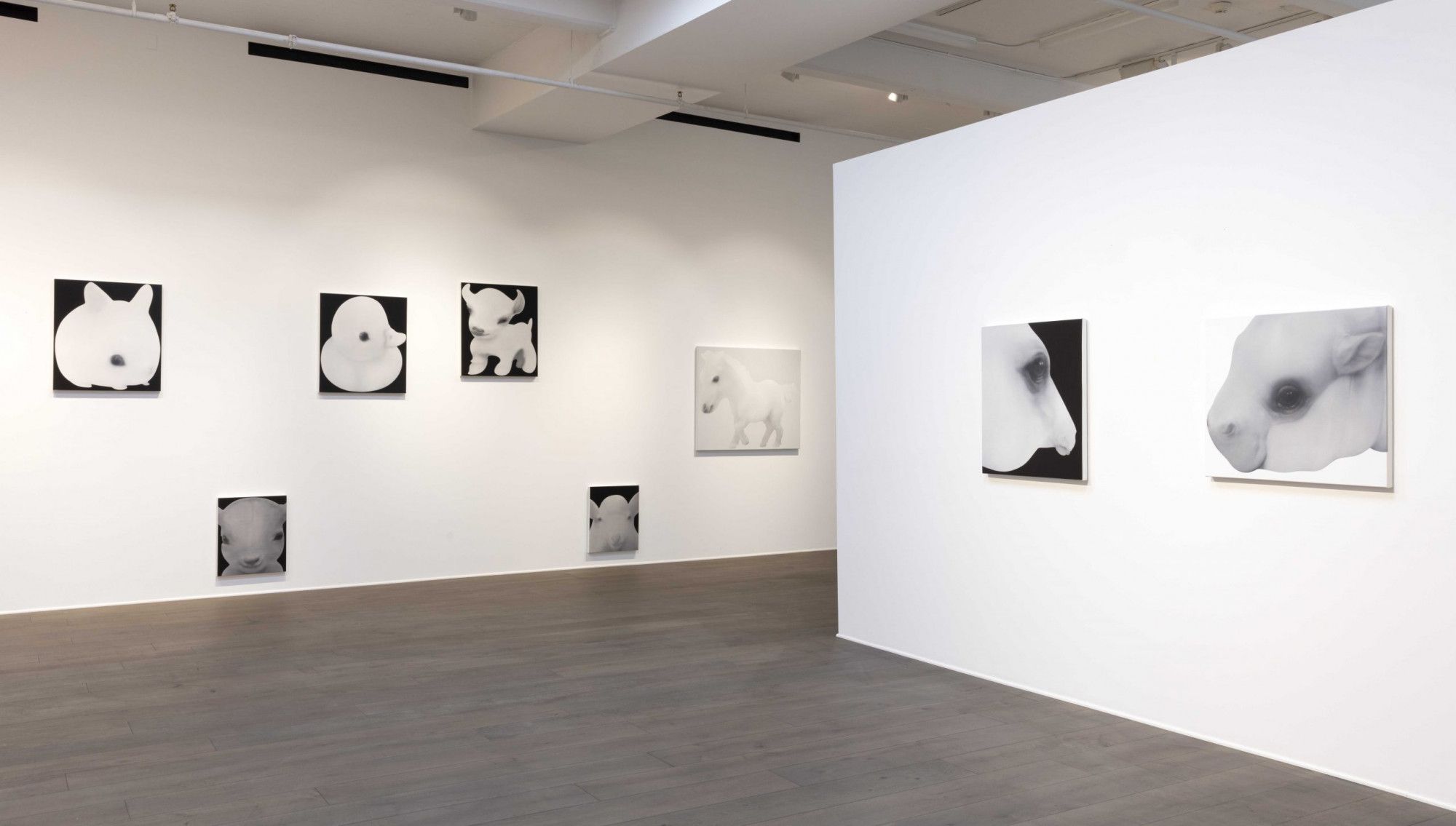 Jingze Du, True Colors at Steve Turner, photo 8