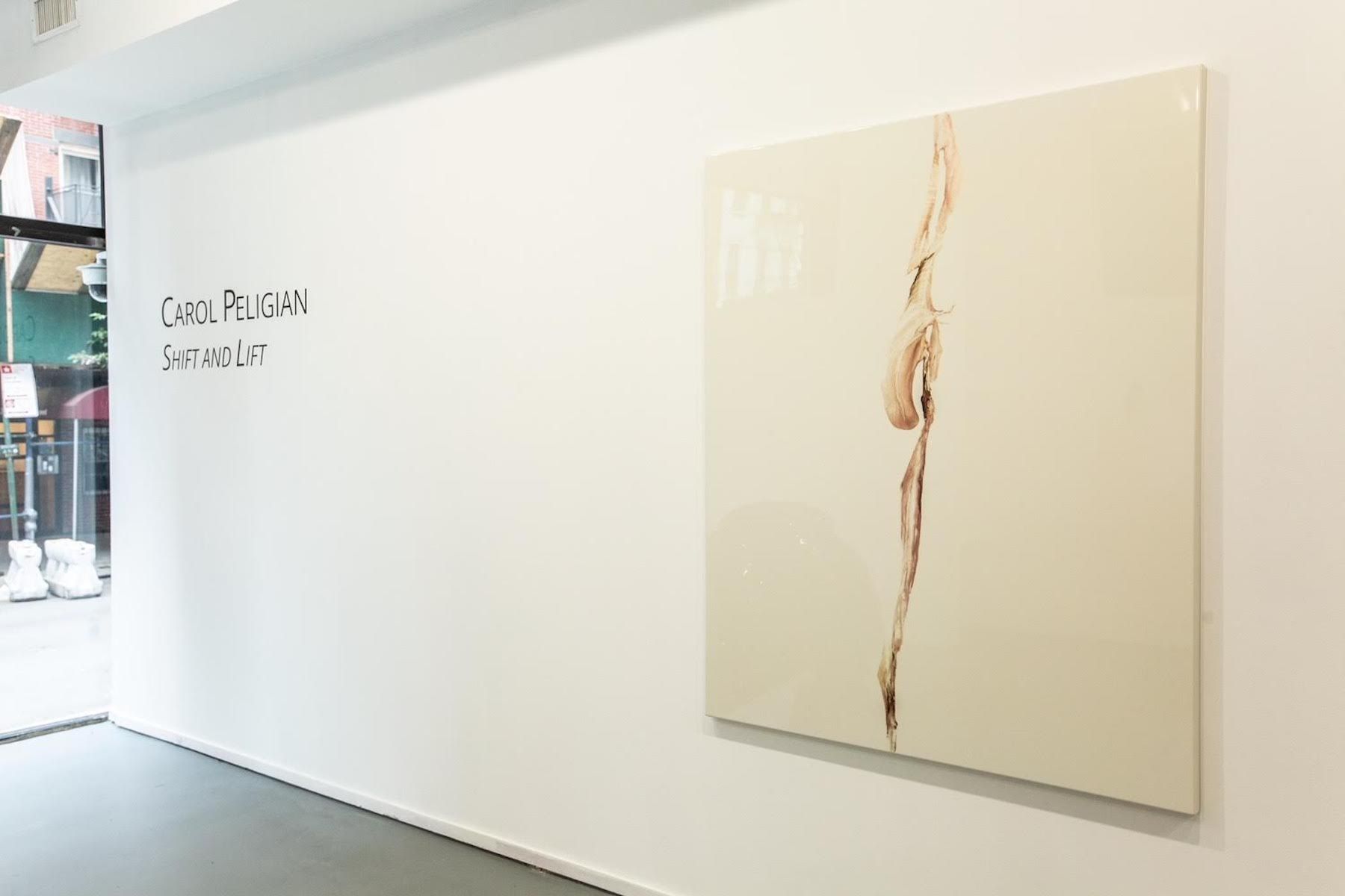 Carol Peligian, Shift and Lift at Atamian Hovsepian, photo 4