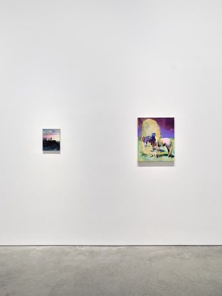 Till Gerhard, Turning Tides and Hidden Tracks at 303 Gallery, photo 9