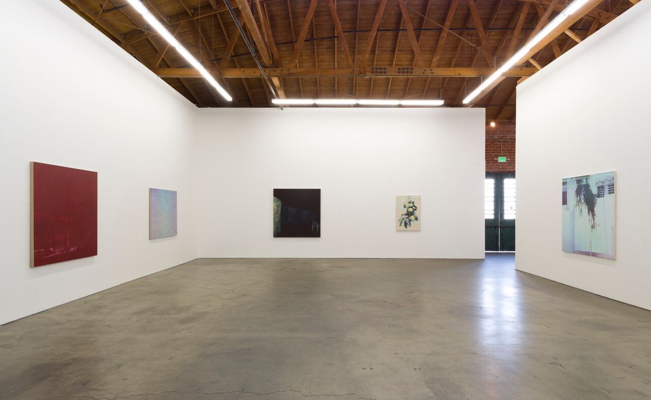 Becca Mann, Protea at François Ghebaly, photo 6