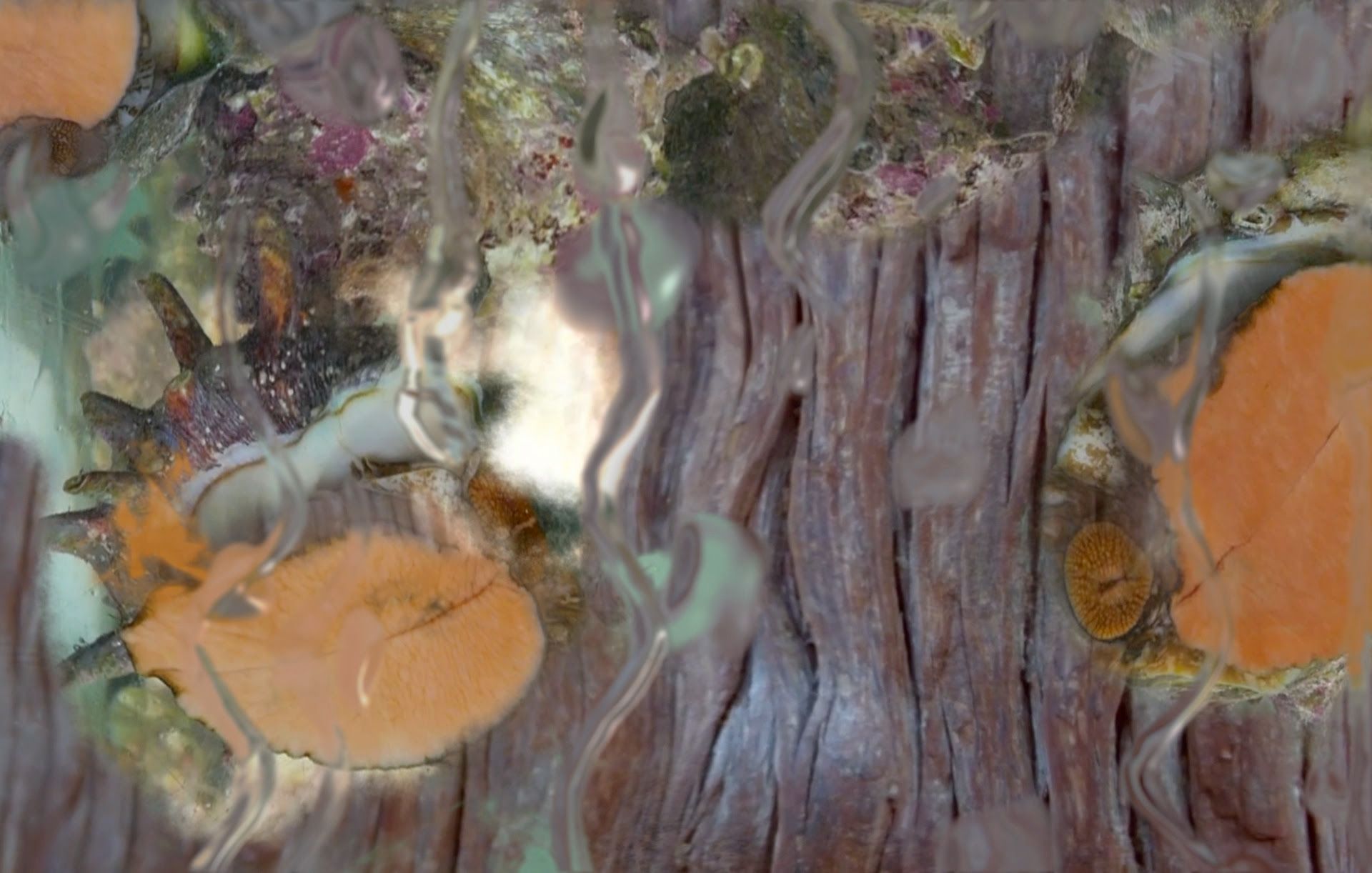Jane Wilson & Louise Wilson, Altogether at 303 Gallery, photo 2