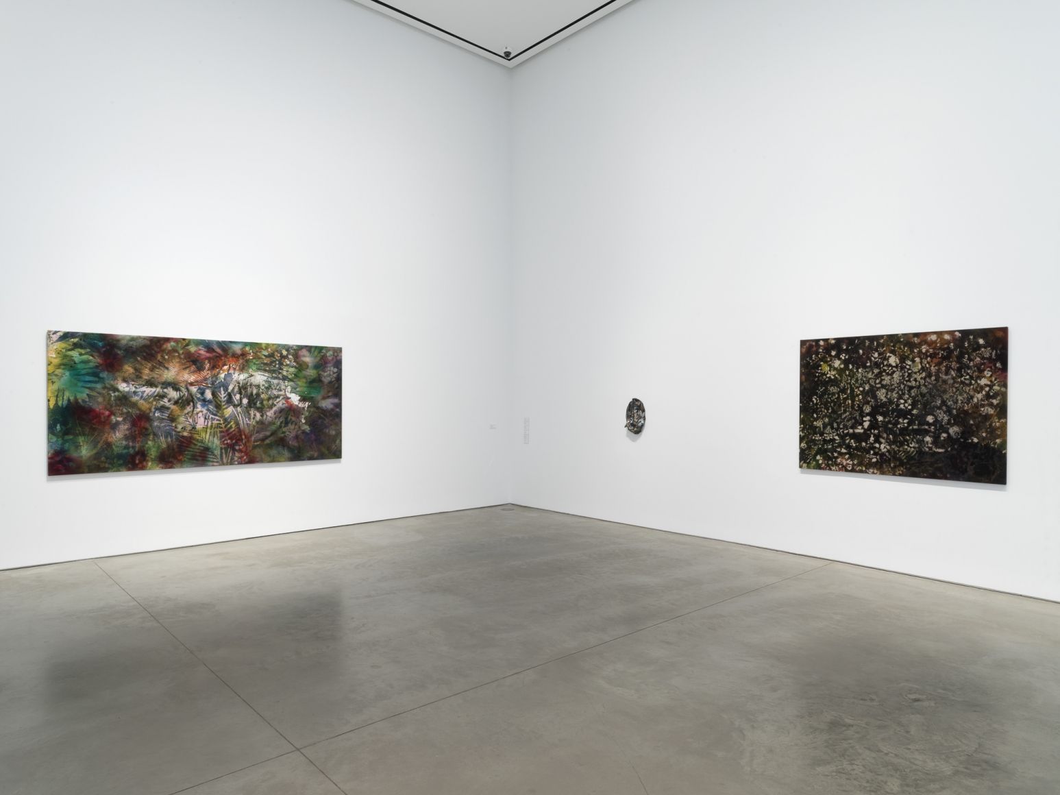 Sam Falls, Sam Falls at 303 Gallery, photo 4