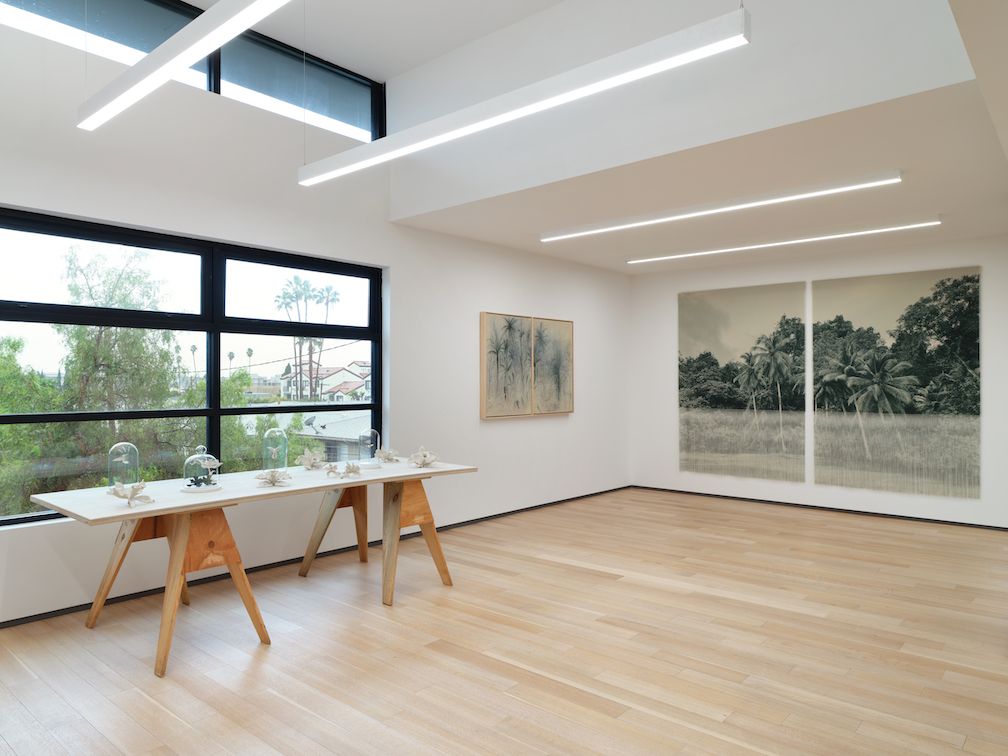 Ana González, Verdes at Sean Kelly, photo 6