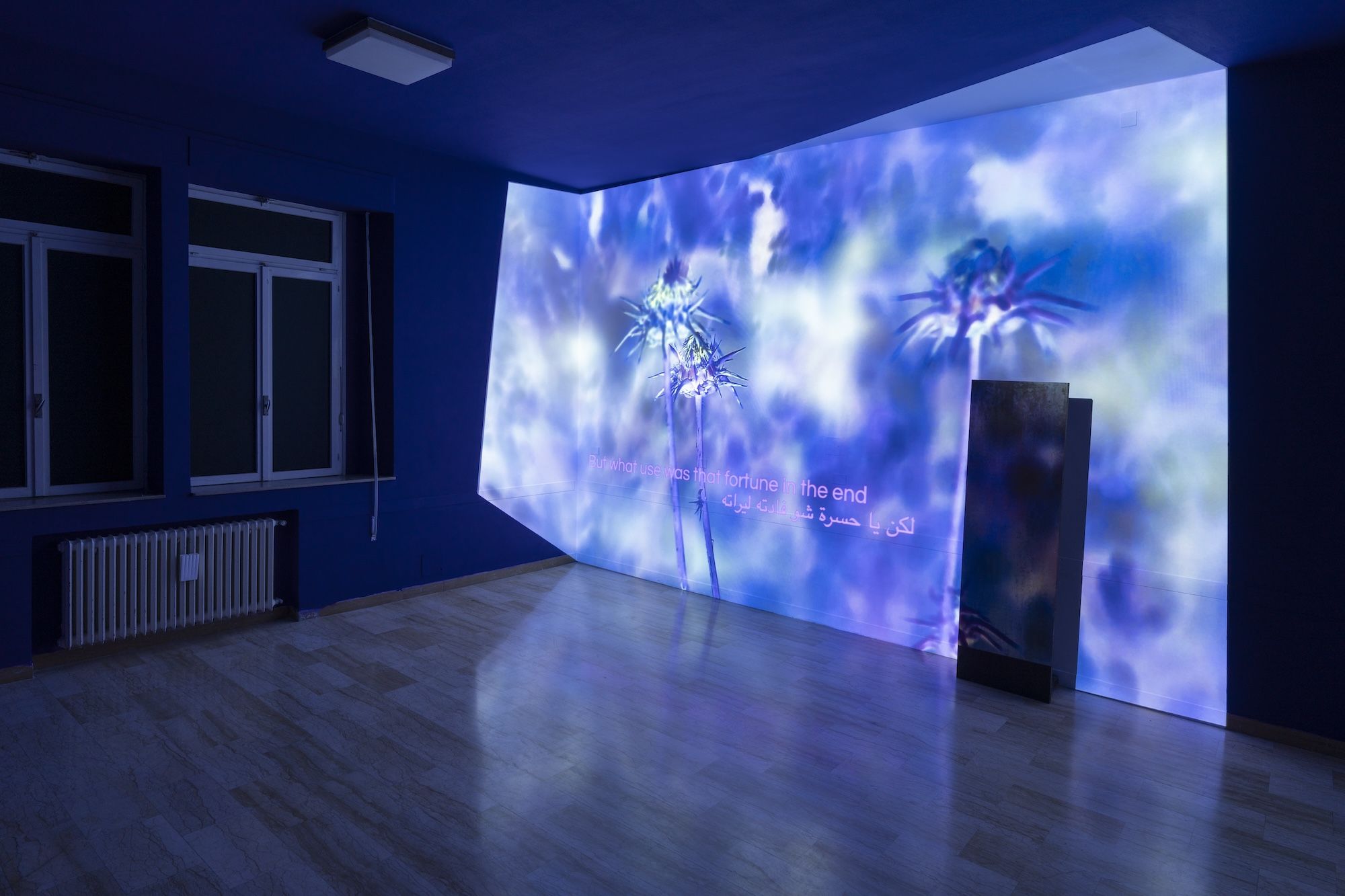Nebula, image 23 of 24