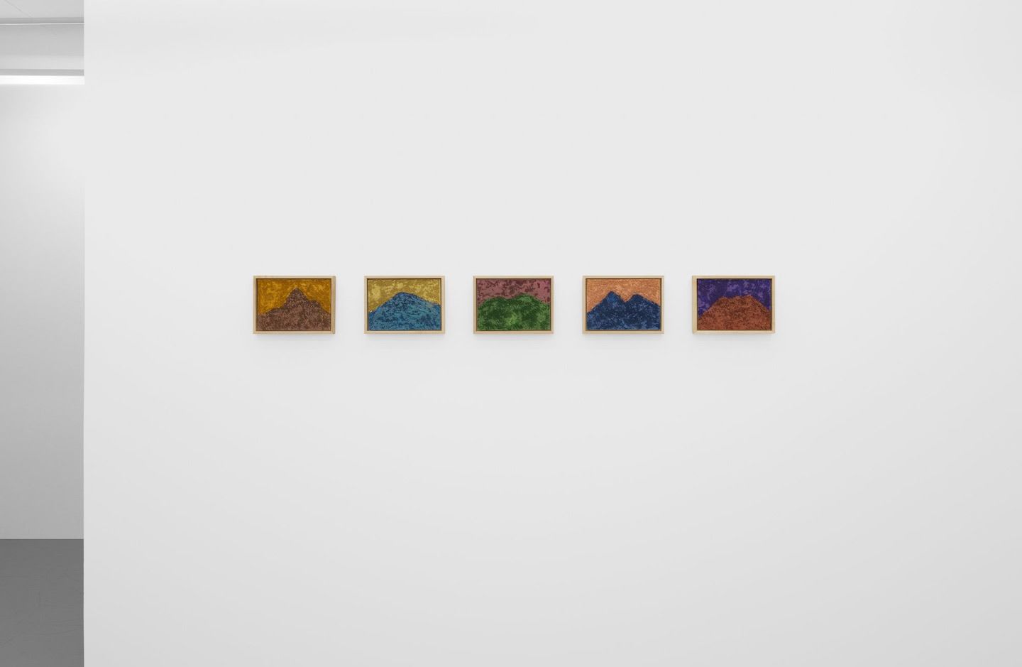 Gisela Colón, Mountains Are Inside Me at Efraín López, photo 2