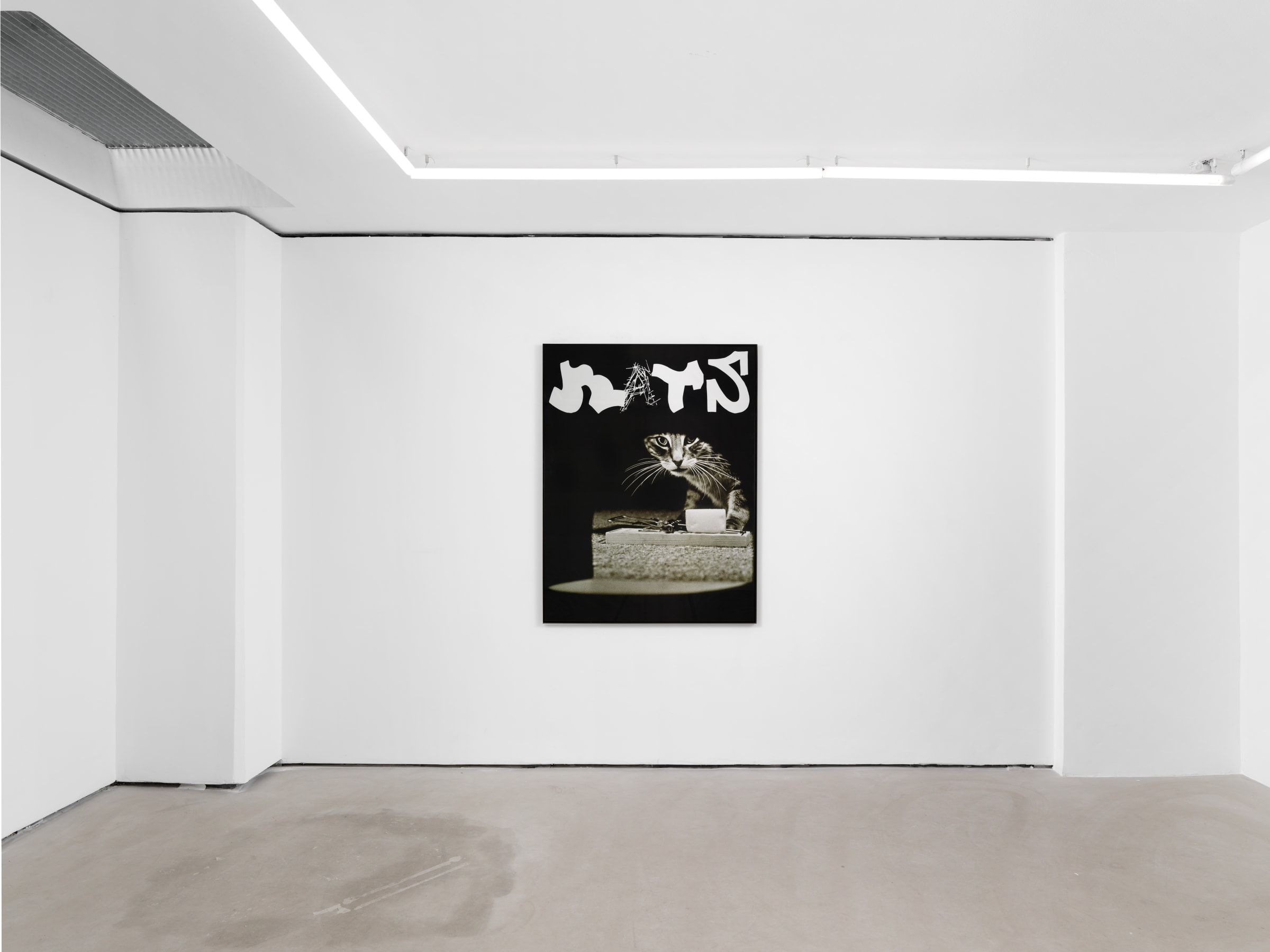 Will Benedict, Hello Greedy Citizens at Balice Hertling, photo 7