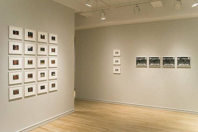 Multi Panel, Multi Panel at Pace/MacGill Gallery, photo 3