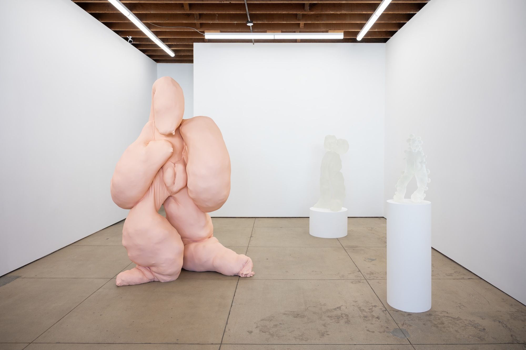 Polly Borland, Blobs and Bod at Wilding Cran, photo 4