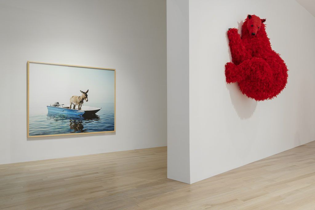 Paola Pivi, Art With a View at Bass Museum of Art, photo 2