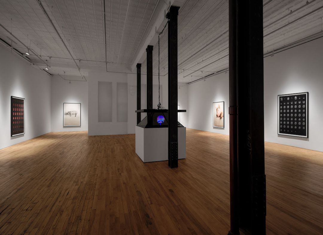 Heji Shin, The Big Nudes at 52 Walker, photo 4