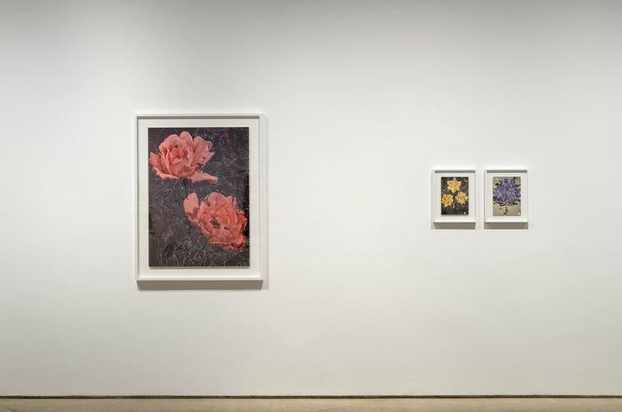 Sebastiaan Bremer, Here Comes The Sun at Hales, photo 3