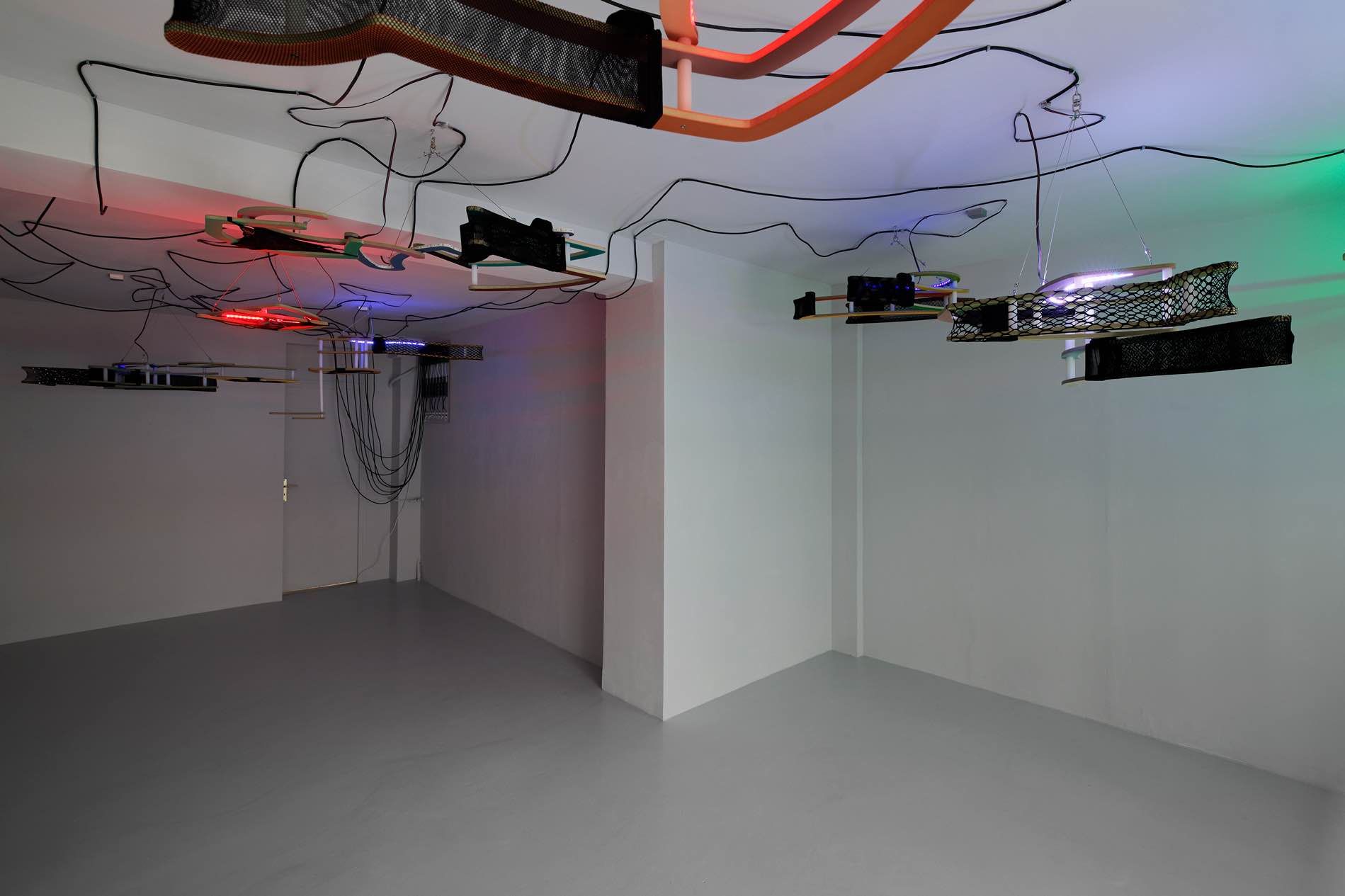 Daniel Jacoby, Pink Dusts at Antoine Levi, photo 2