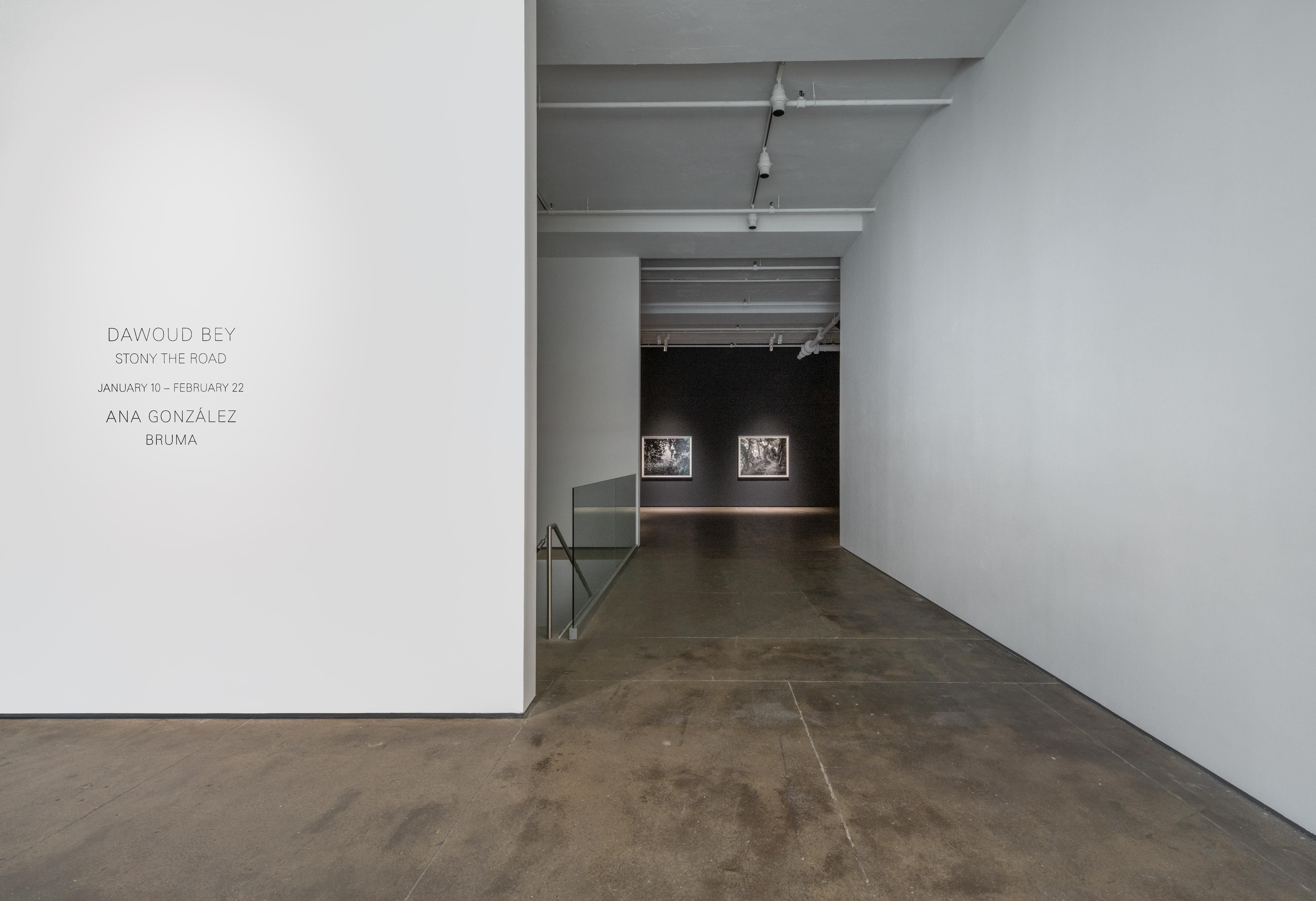 Installation view 7