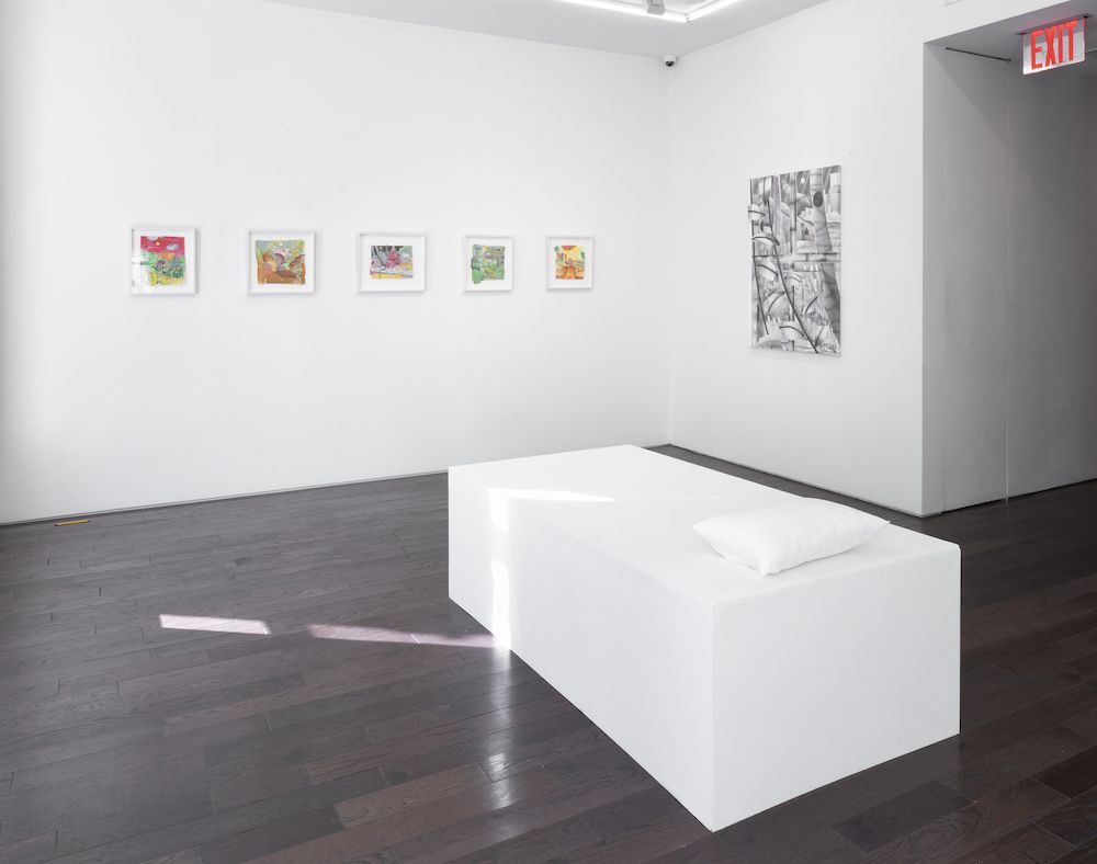 Adam Himebauch, Never Ever Land at Ceysson & Bénétière, photo 5