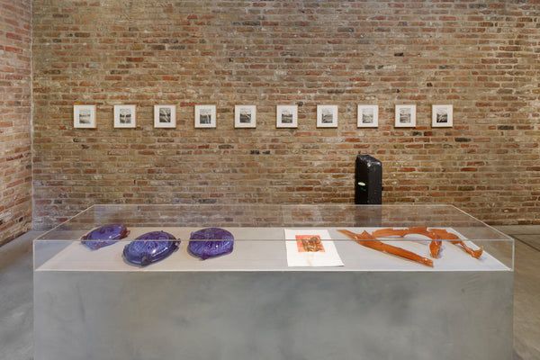 Tue Greenfort, Wunderkammer at König Galerie, photo 5