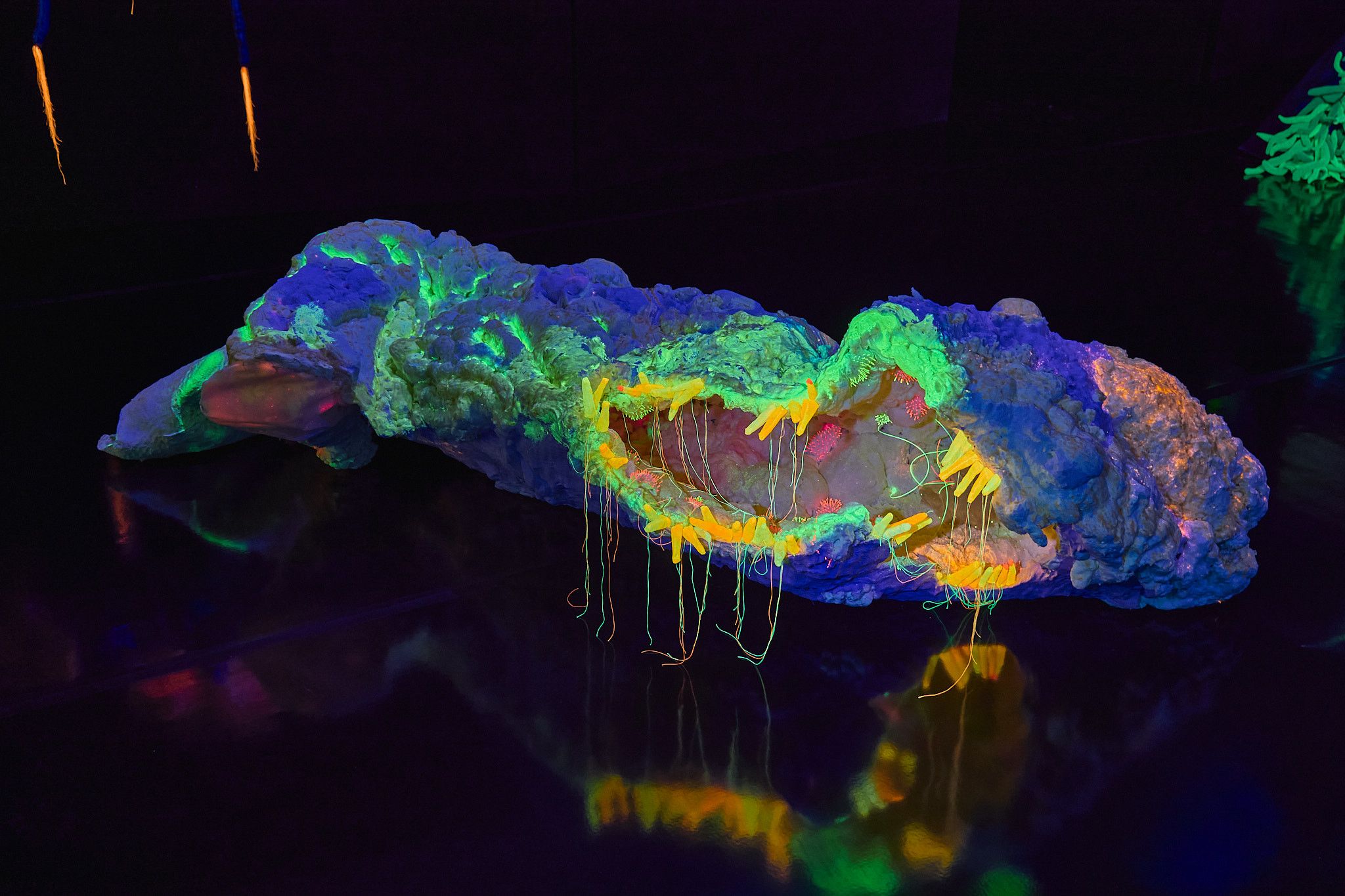 Anne Duk Hee Jordan, Worlds Away at Alexander Levy, photo 2