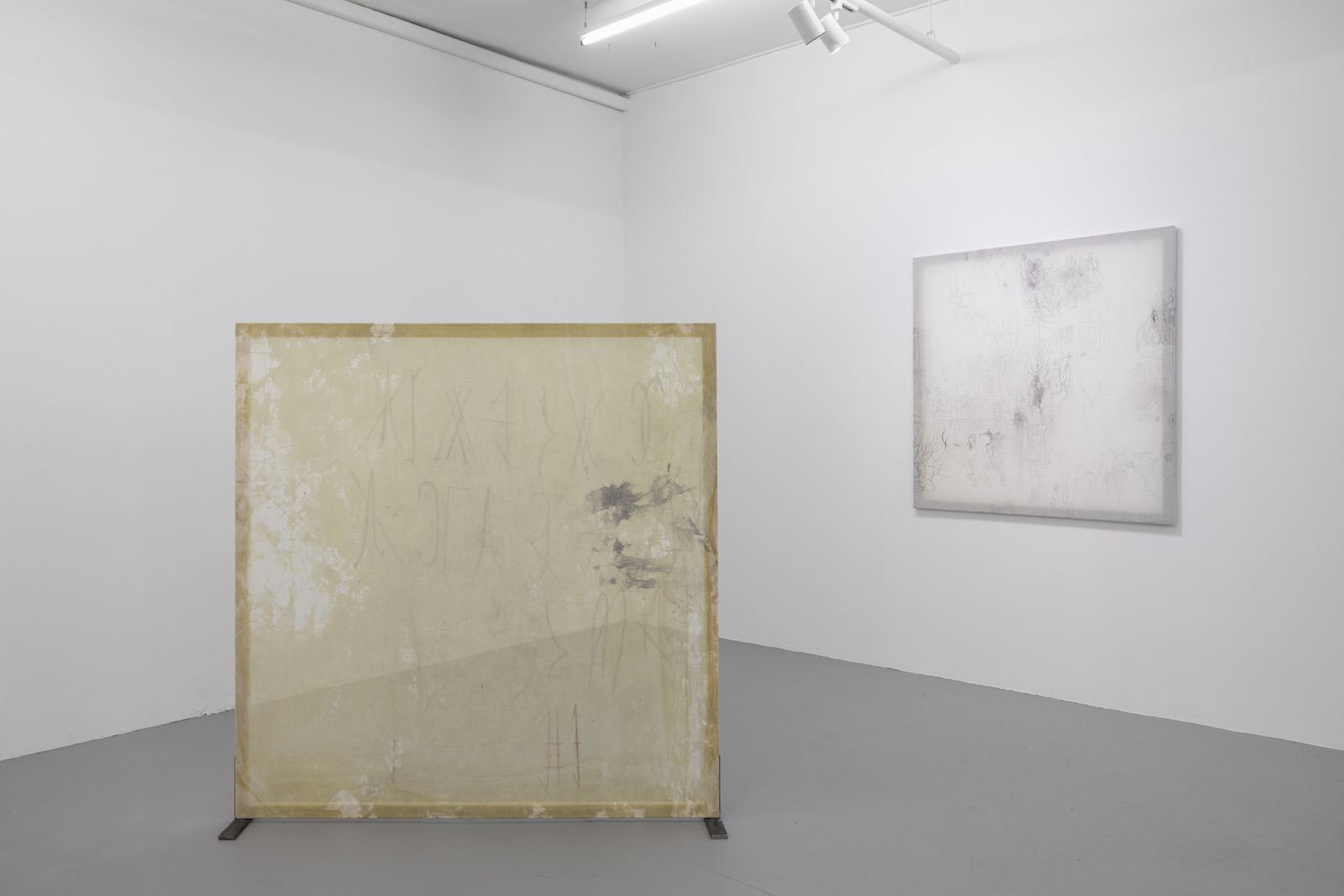 Rosario Zorraquín, Ocelli at Revolver Galeria, photo 2
