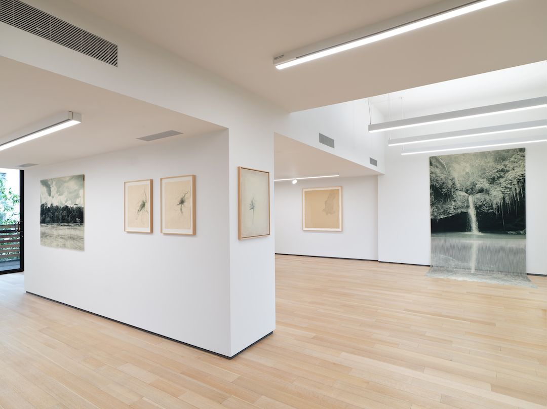 Ana González, Verdes at Sean Kelly, photo 2