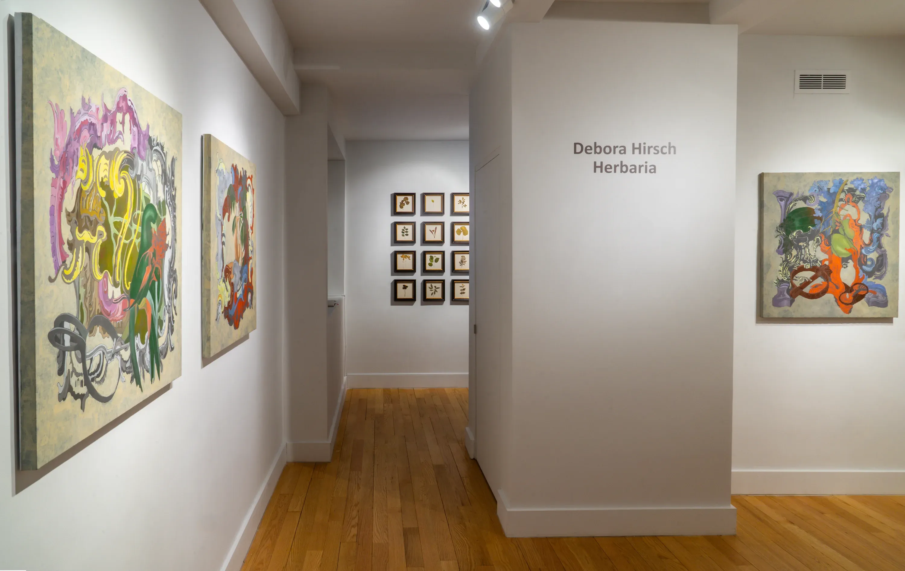 Debora Hirsch, Herbaria at Hutchinson Modern & Contemporary, photo 4
