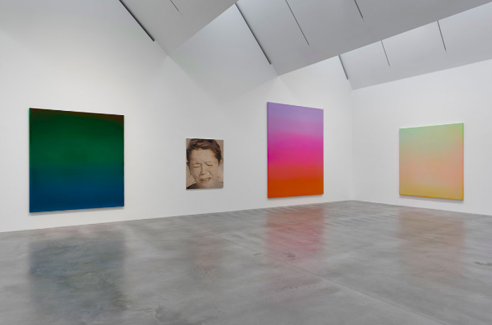 True Colours, True Colours at Newport Street Gallery, photo 2
