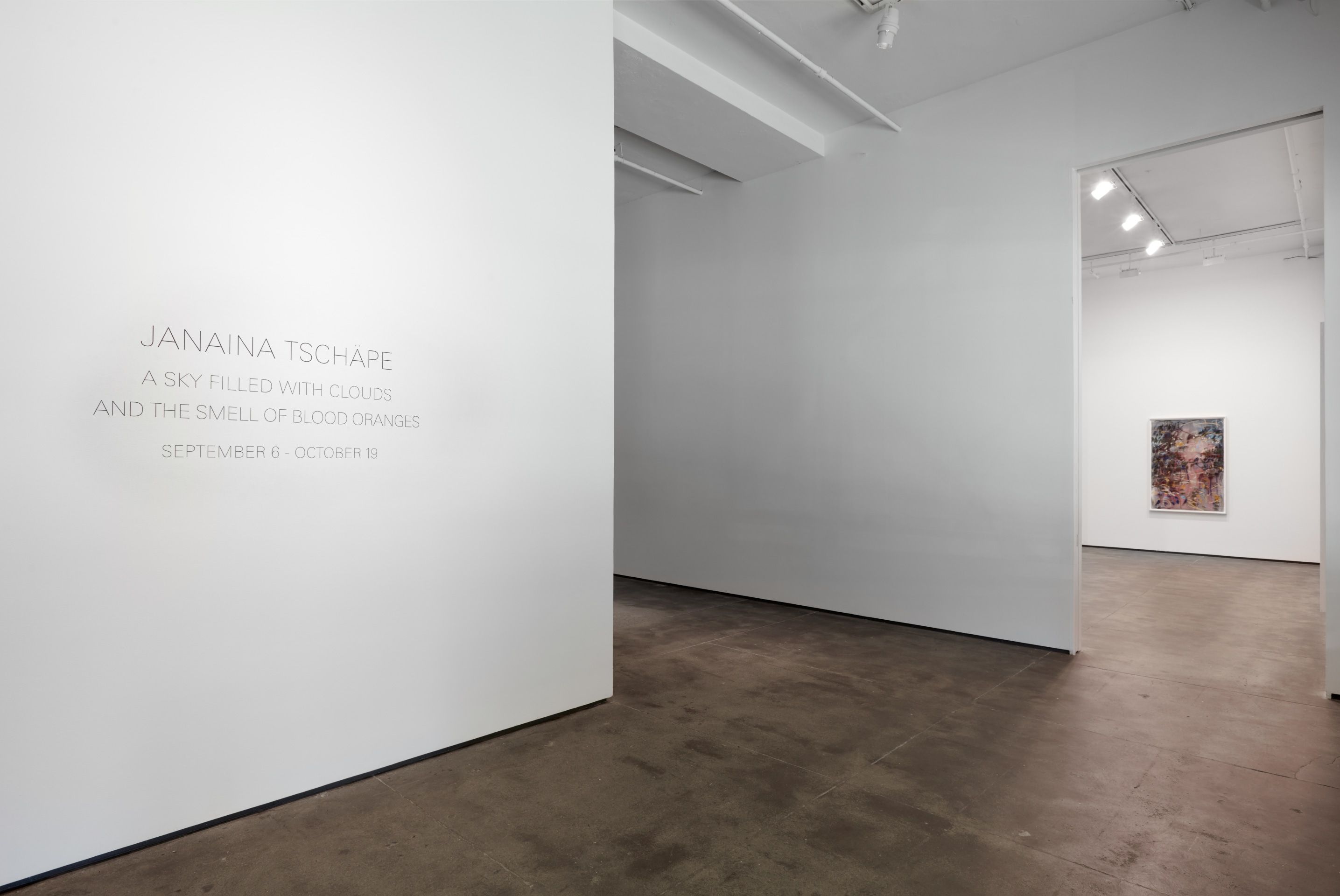 Installation view 11
