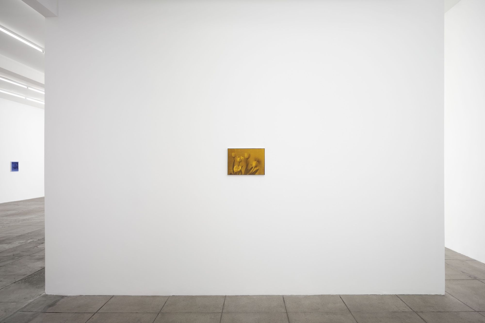 Poppy Jones, Sans Soleil at Overduin & Co., photo 15