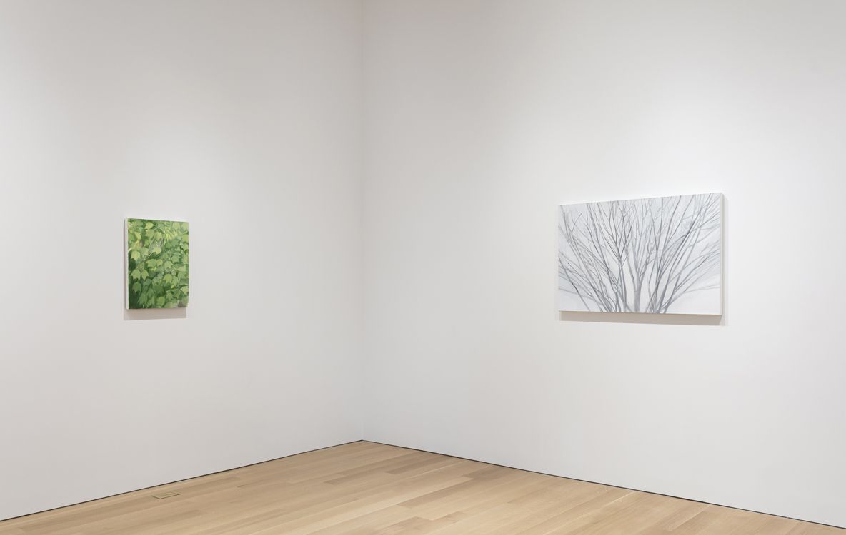 Sylvia Plimack Mangold, Summer and Winter at Alexander and Bonin, photo 5