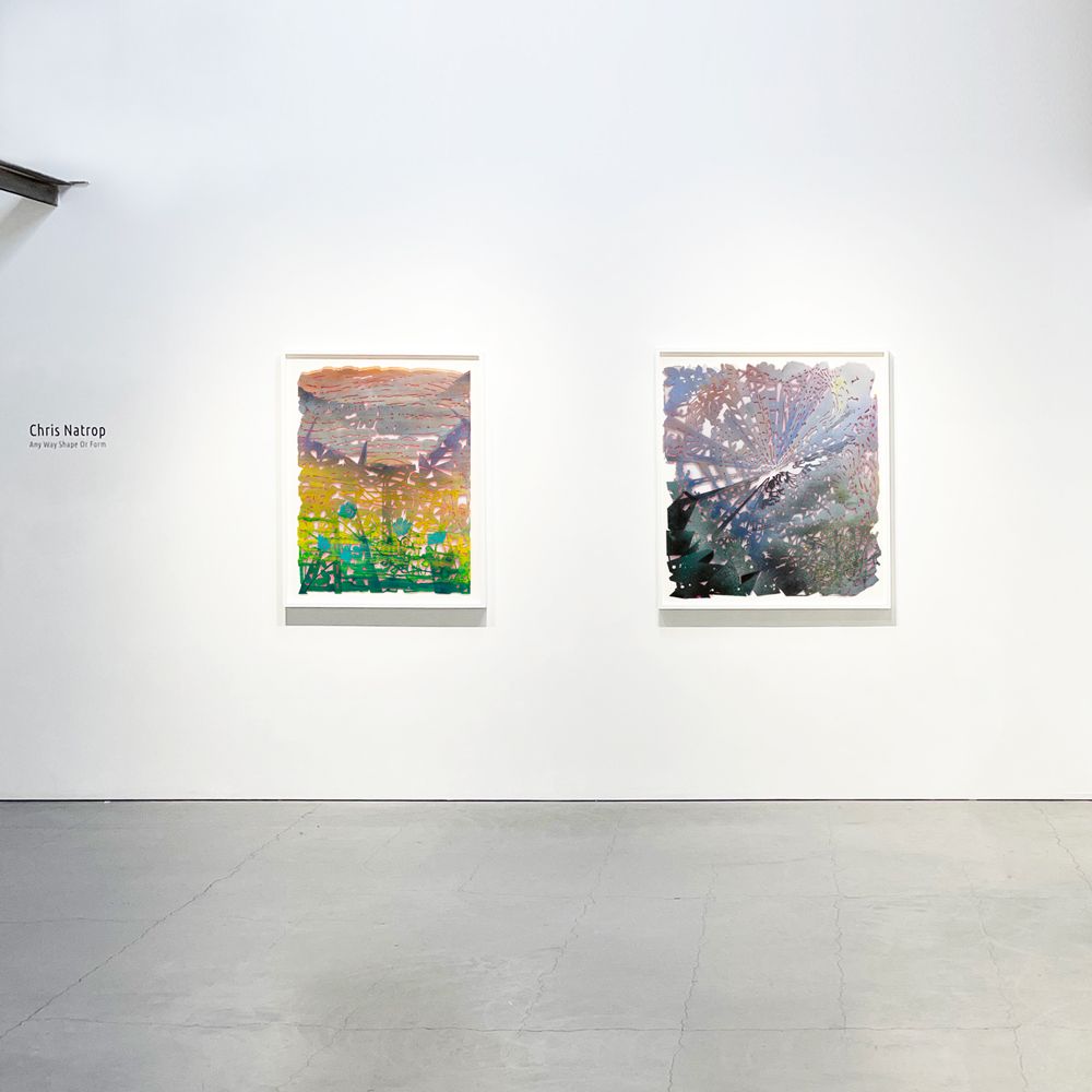 Chris Natrop, image 2 of 6
